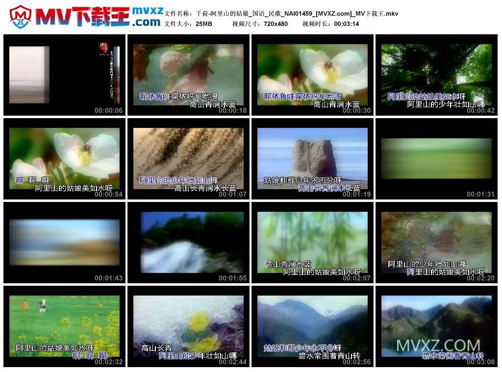 千荷-阿里山的姑娘_国语_民歌_NAI01459